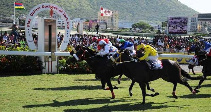 Horse Racing: Day 3, Day 4 Results