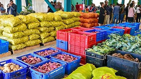 Auction sales outside the National Wholesale Market soon to be banned