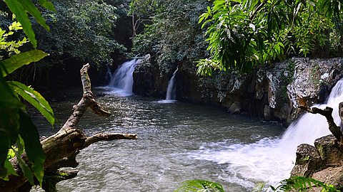 Souillac: À la découverte de la Cascade de la Savanne