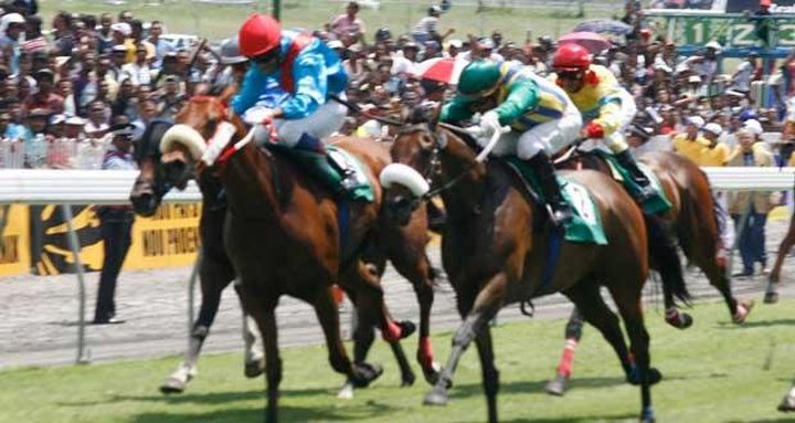 Horse Racing: Stable Gujadhur (Mobschief) ...
