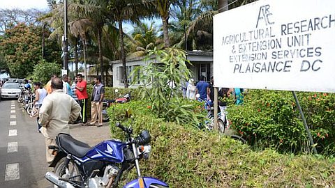Family Farming Scheme: des Formulaires du Ministère Vendus Entre Rs 10 et Rs 20