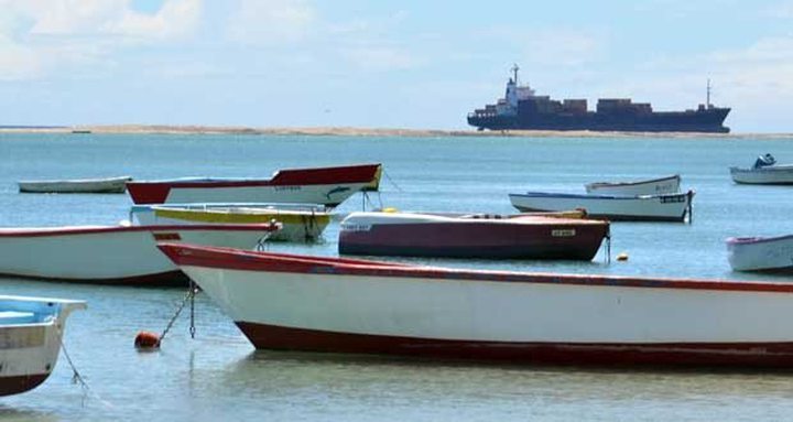 Two New Islands for a Decade ...