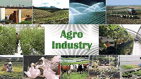 Vingt Nouveaux Projets Pour Booster la Production Alimentaire