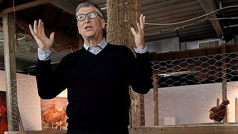 Bill Gates Launches Chicken Plan to Help Africa Poor