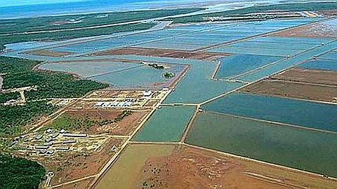 Madagascar: Shrimp Farming Restarts