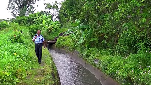Poulets morts dans la Nicolière: l’horreur au menu !
