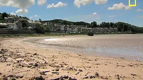 Video of The Day: How to Survive in Quicksand