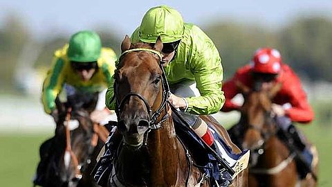 Horse Racing - Day 5: The Gujadhur Welcomes New Jockey Richard Mullen