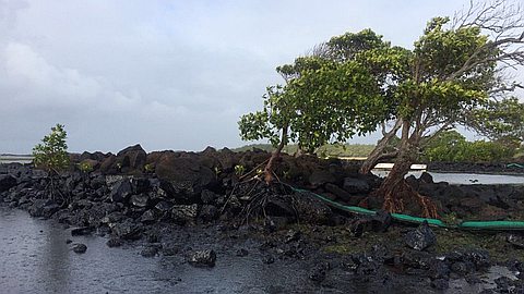 MV Benita: des nappes d’huile dans le lagon