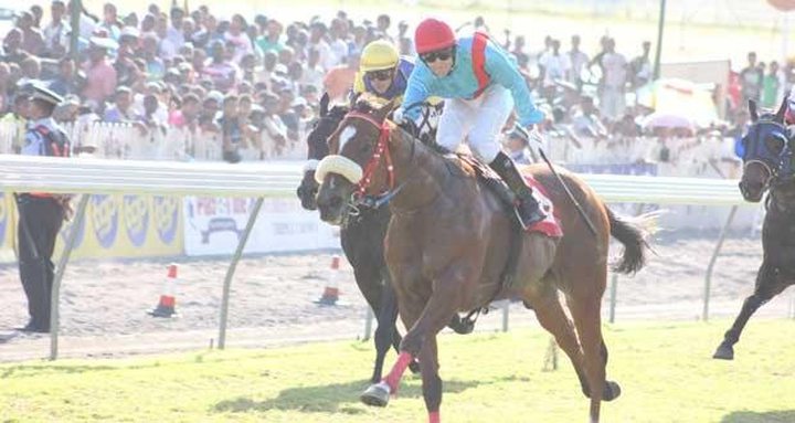 Horse Racing - 10th day: Eskimo Roll Crowned...