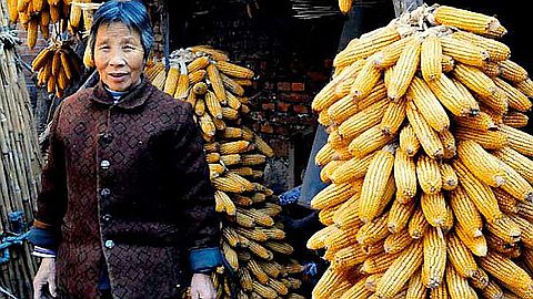 China Through the Viewfinder of Mauritian Artists