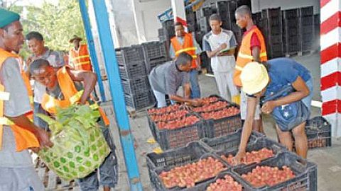 Madagascar: a Record Price of a Kilo of Lychees