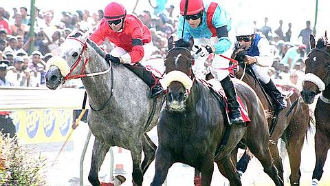 11th Day: Accelero Looking for a Fifth Win in a Row