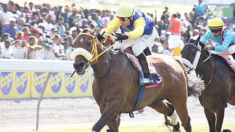 Horse Racing, Day 23: Meadow Magic Removes the Main Event