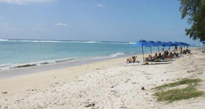 Four Public Beaches Alert to Presence of Jellyfish
