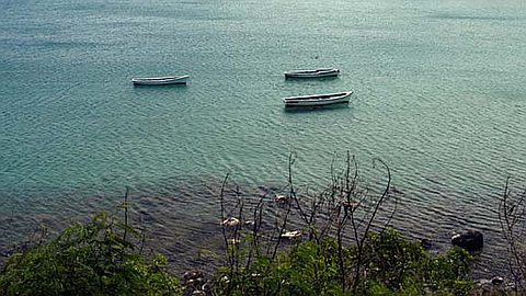 Baie-du-Tombeau: Wastewater from the WWMA Threaten the Marine Ecosystem