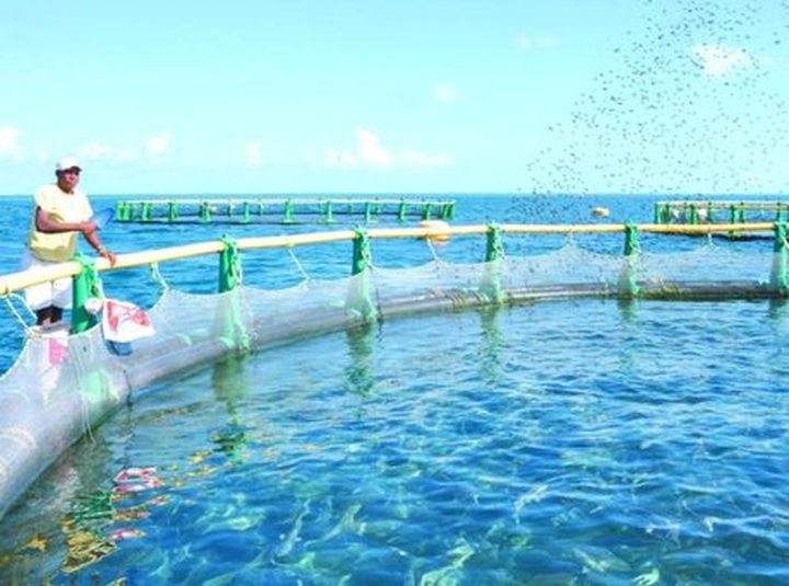 Aquaculture : Rs 8 Millions Injectées