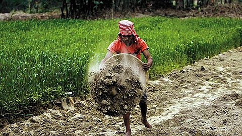 India Has More Jobs, But Poorer Jobs