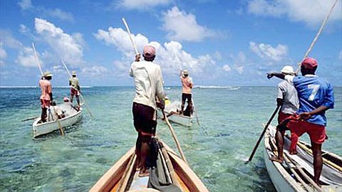 Increasing Marine Farms