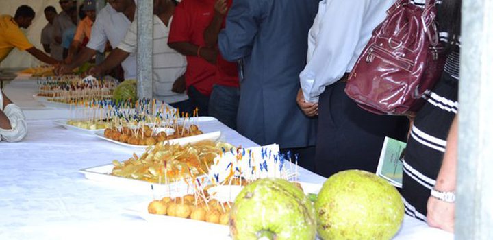 Breadfruit: the Backyard to Our Plates