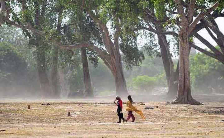 Heat Wave Kills Over 1,100 in Andhra Pradesh ...