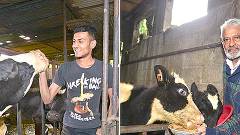 Flacq: les Nazurally, éleveurs de père en fils