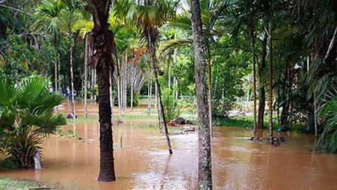 Fortes pluies: le jardin de Pamplemousses submergé par les eaux