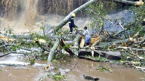 'At least 20 dead' after large tree crashes down at Kintampo Waterfalls in Ghana