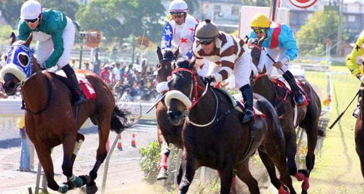 Horse Racing, 30th Day: Intercontinental Persists 