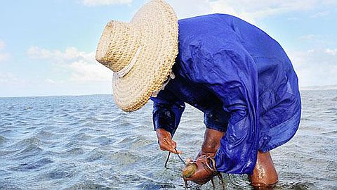 Couvre-feu – Covid-19: la fermeture de la pêche à l’ourite à Rodrigues étendue au 4 avril