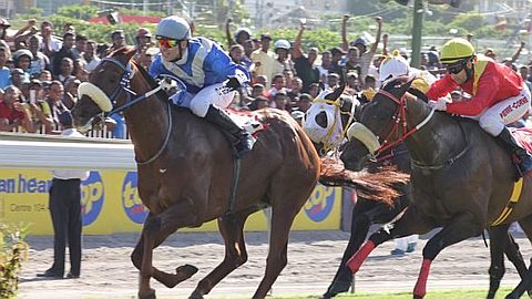 Hippisme: Gida (Ségeon) Jamais Rejoint dans l’Epreuve Principale