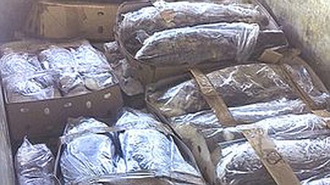 Port: Goods Stolen in the Amount of Rs 10 Million