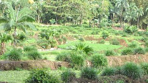 Le Val: Parc Tous Risques