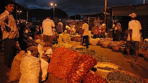 Wholesale National Market for Fruits and Vegetables: a Consultant Appointed Soon