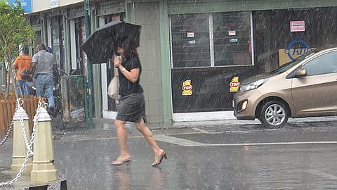 Three Days of Rain and Record Heat ...