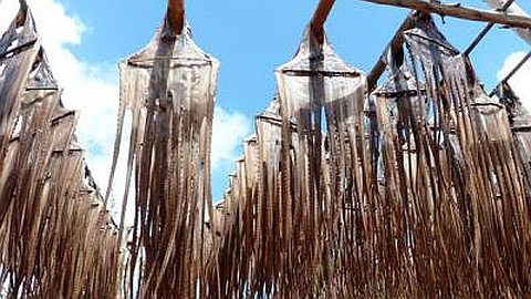 Second Temporary Closure of Ourites Fishing 