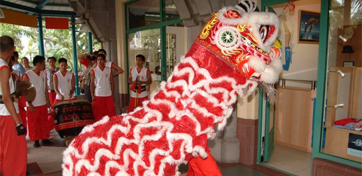 Series of Activities for the Spring Festival