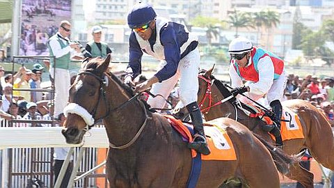 Horse Racing, Results: Day 35 - Saturday, November 2, 2013